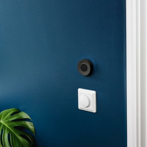 Smart home wall controls on a blue wall with a plant.