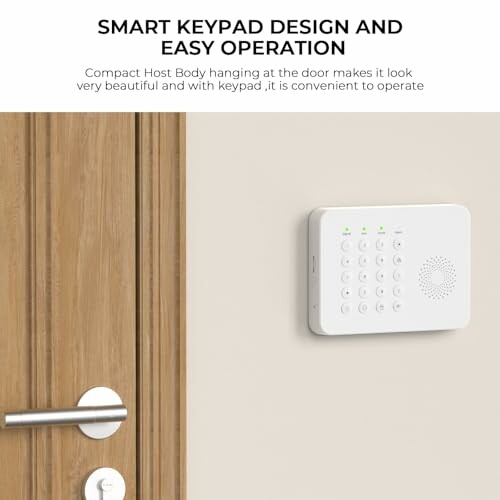 Smart keypad mounted on wall beside wooden door